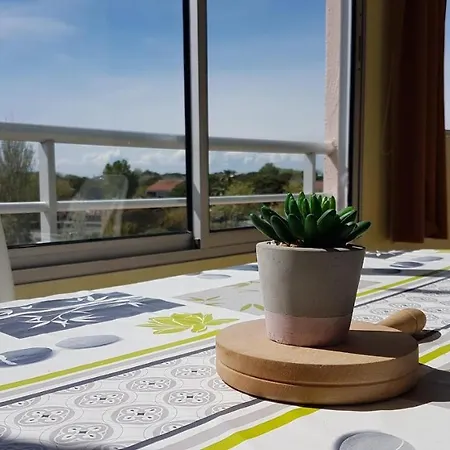 Apartament Cap D'agde Antinea, Rochelongue, Piscine Et Parking Agde